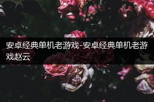 安卓经典单机老游戏-安卓经典单机老游戏赵云