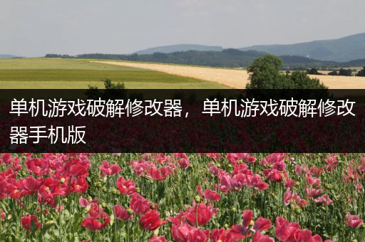 单机游戏破解修改器，单机游戏破解修改器手机版