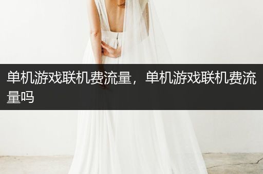 单机游戏联机费流量，单机游戏联机费流量吗