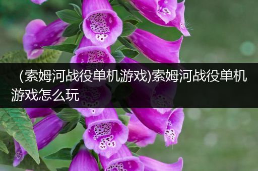 （索姆河战役单机游戏)索姆河战役单机游戏怎么玩