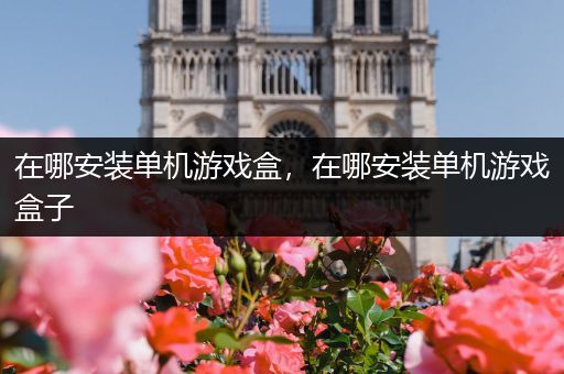在哪安装单机游戏盒，在哪安装单机游戏盒子