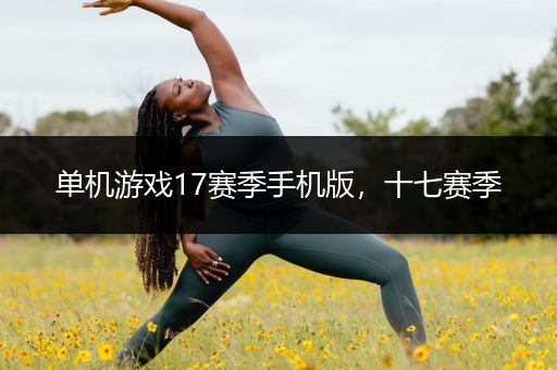 单机游戏17赛季手机版，十七赛季