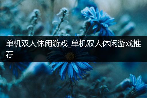 单机双人休闲游戏_单机双人休闲游戏推荐