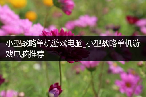 小型战略单机游戏电脑_小型战略单机游戏电脑推荐