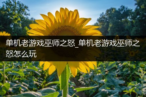 单机老游戏巫师之怒_单机老游戏巫师之怒怎么玩