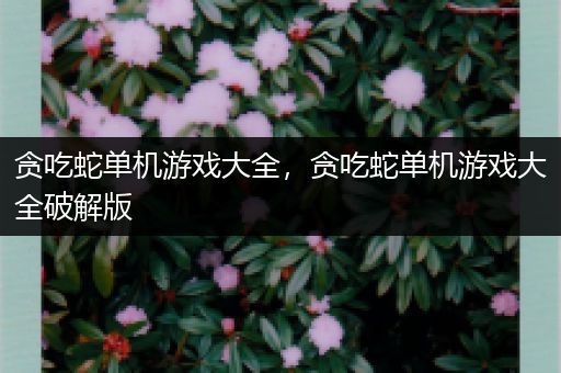 贪吃蛇单机游戏大全，贪吃蛇单机游戏大全破解版