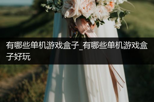 有哪些单机游戏盒子_有哪些单机游戏盒子好玩
