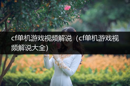 cf单机游戏视频解说（cf单机游戏视频解说大全）