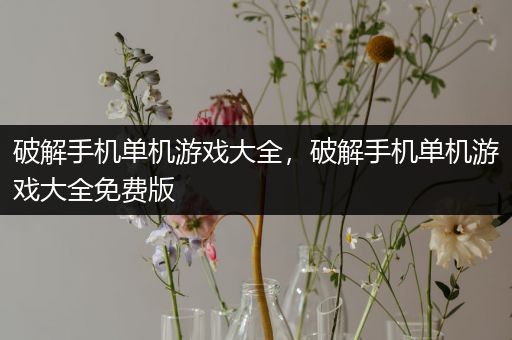 破解手机单机游戏大全，破解手机单机游戏大全免费版