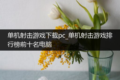 单机射击游戏下载pc_单机射击游戏排行榜前十名电脑