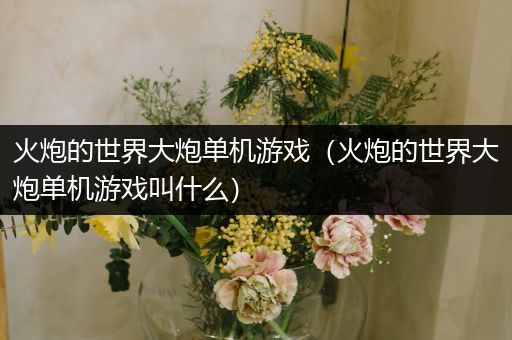 火炮的世界大炮单机游戏（火炮的世界大炮单机游戏叫什么）