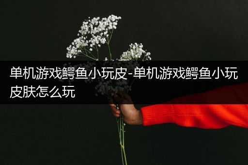 单机游戏鳄鱼小玩皮-单机游戏鳄鱼小玩皮肤怎么玩