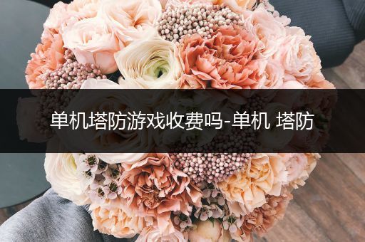 单机塔防游戏收费吗-单机 塔防