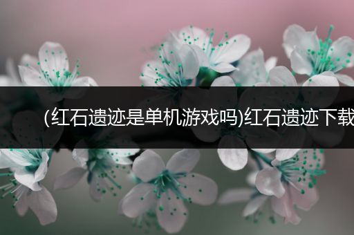 （红石遗迹是单机游戏吗)红石遗迹下载