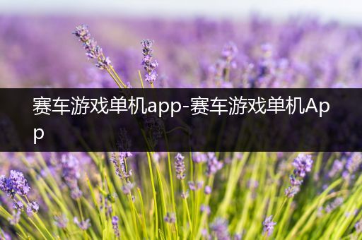 赛车游戏单机app-赛车游戏单机App