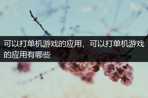 可以打单机游戏的应用，可以打单机游戏的应用有哪些