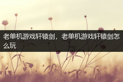 老单机游戏轩辕剑，老单机游戏轩辕剑怎么玩