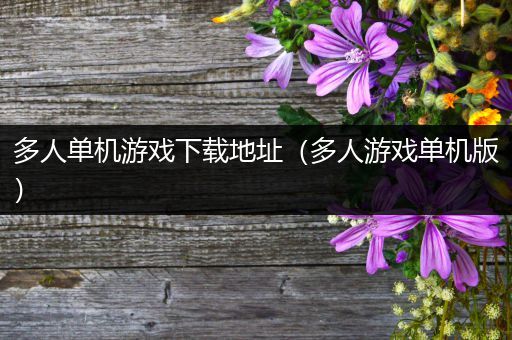 多人单机游戏下载地址（多人游戏单机版）