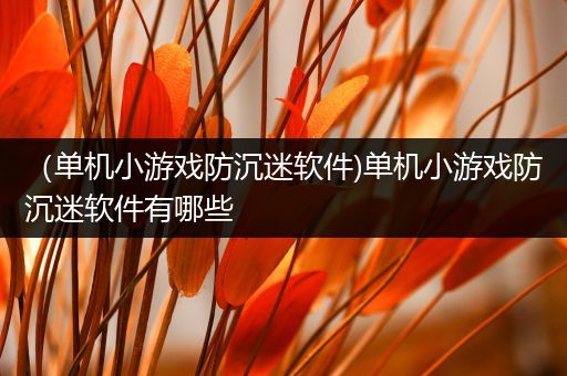 （单机小游戏防沉迷软件)单机小游戏防沉迷软件有哪些