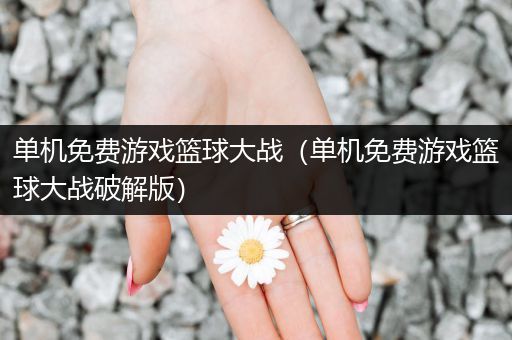 单机免费游戏篮球大战（单机免费游戏篮球大战破解版）