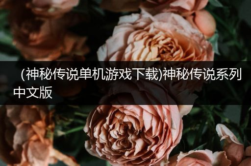 （神秘传说单机游戏下载)神秘传说系列中文版