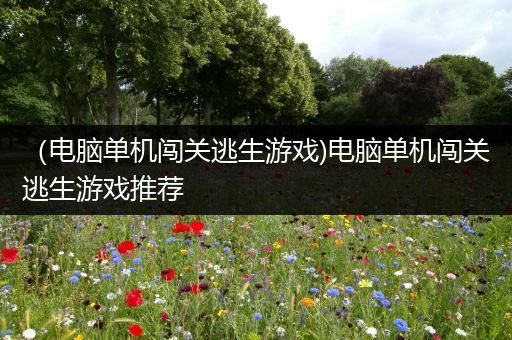 （电脑单机闯关逃生游戏)电脑单机闯关逃生游戏推荐