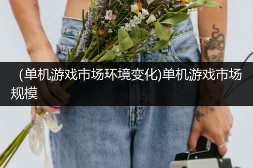 （单机游戏市场环境变化)单机游戏市场规模