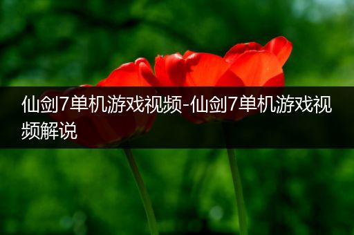 仙剑7单机游戏视频-仙剑7单机游戏视频解说
