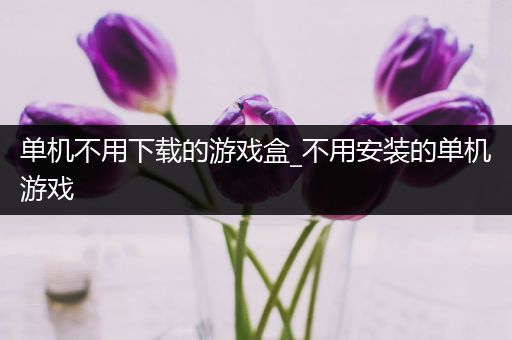 单机不用下载的游戏盒_不用安装的单机游戏