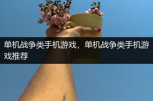 单机战争类手机游戏，单机战争类手机游戏推荐