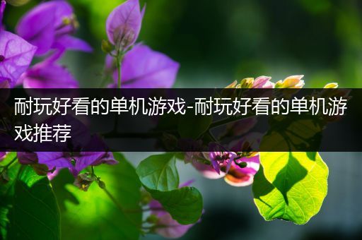 耐玩好看的单机游戏-耐玩好看的单机游戏推荐