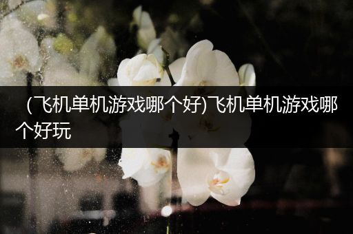 （飞机单机游戏哪个好)飞机单机游戏哪个好玩