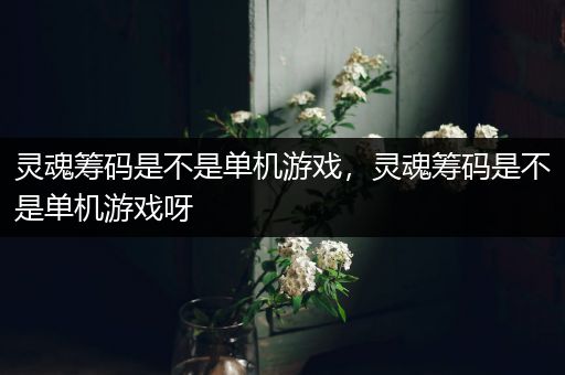 灵魂筹码是不是单机游戏，灵魂筹码是不是单机游戏呀
