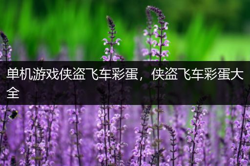 单机游戏侠盗飞车彩蛋，侠盗飞车彩蛋大全