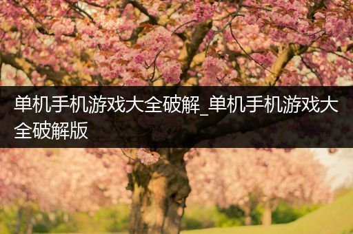 单机手机游戏大全破解_单机手机游戏大全破解版