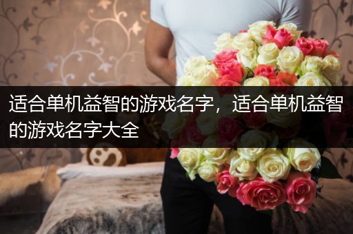 适合单机益智的游戏名字，适合单机益智的游戏名字大全