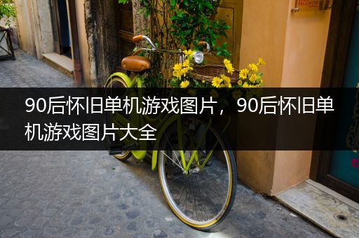 90后怀旧单机游戏图片，90后怀旧单机游戏图片大全