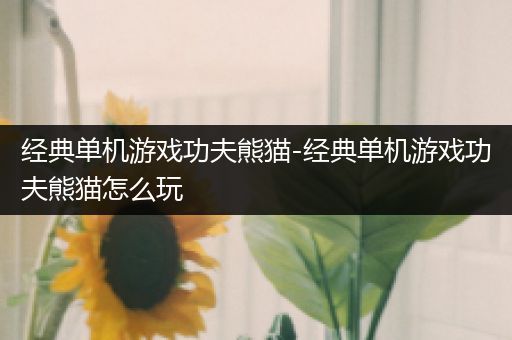 经典单机游戏功夫熊猫-经典单机游戏功夫熊猫怎么玩