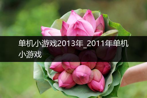 单机小游戏2013年_2011年单机小游戏