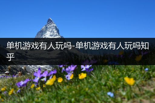 单机游戏有人玩吗-单机游戏有人玩吗知乎