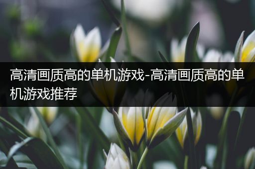 高清画质高的单机游戏-高清画质高的单机游戏推荐