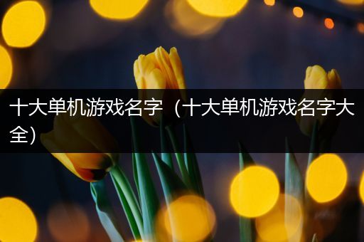 十大单机游戏名字（十大单机游戏名字大全）