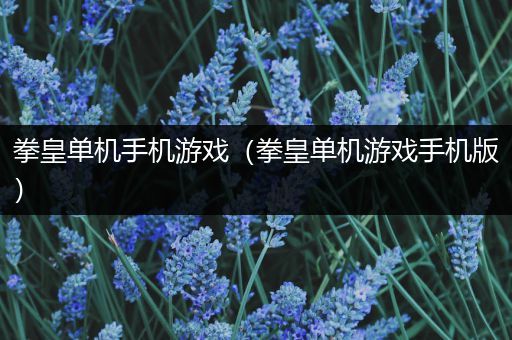 拳皇单机手机游戏（拳皇单机游戏手机版）