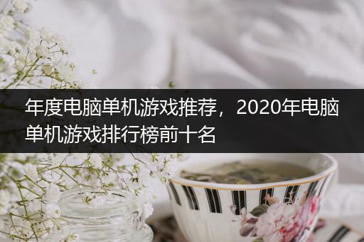 年度电脑单机游戏推荐，2020年电脑单机游戏排行榜前十名