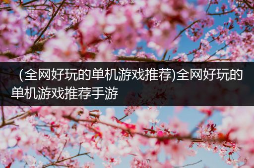（全网好玩的单机游戏推荐)全网好玩的单机游戏推荐手游