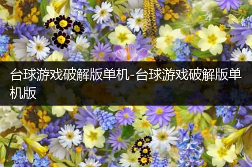 台球游戏破解版单机-台球游戏破解版单机版