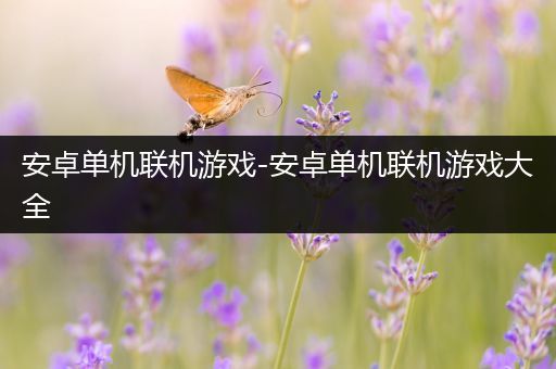 安卓单机联机游戏-安卓单机联机游戏大全