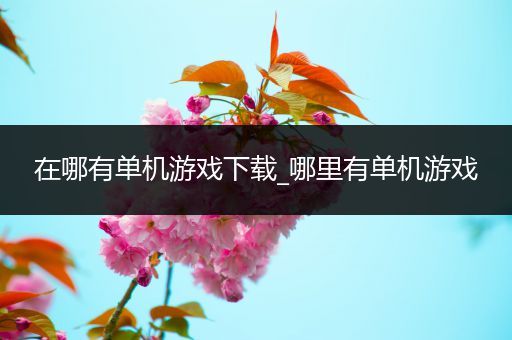 在哪有单机游戏下载_哪里有单机游戏