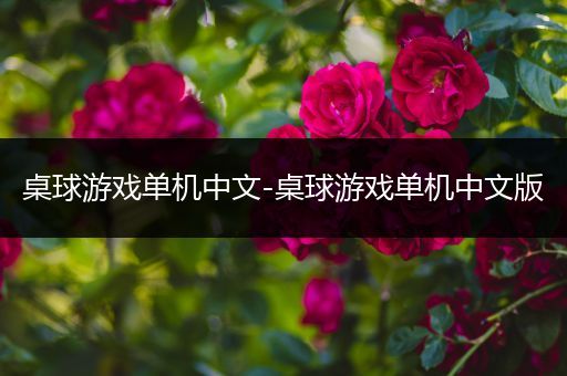 桌球游戏单机中文-桌球游戏单机中文版