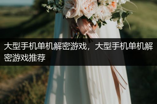 大型手机单机解密游戏，大型手机单机解密游戏推荐